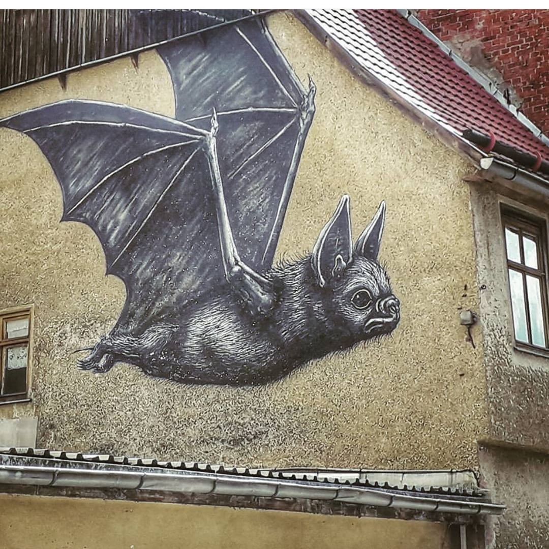 ROA Bat