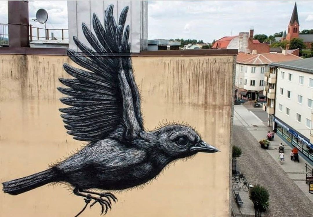 ROA Bird In Flight B2Rn6pXlflU