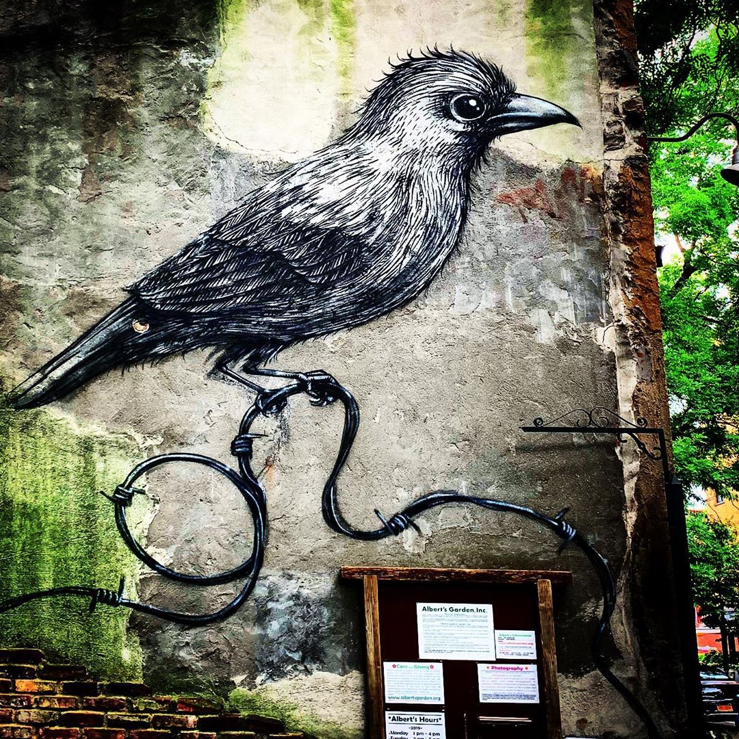 ROA Bird On Barbwire B11NkJog oK