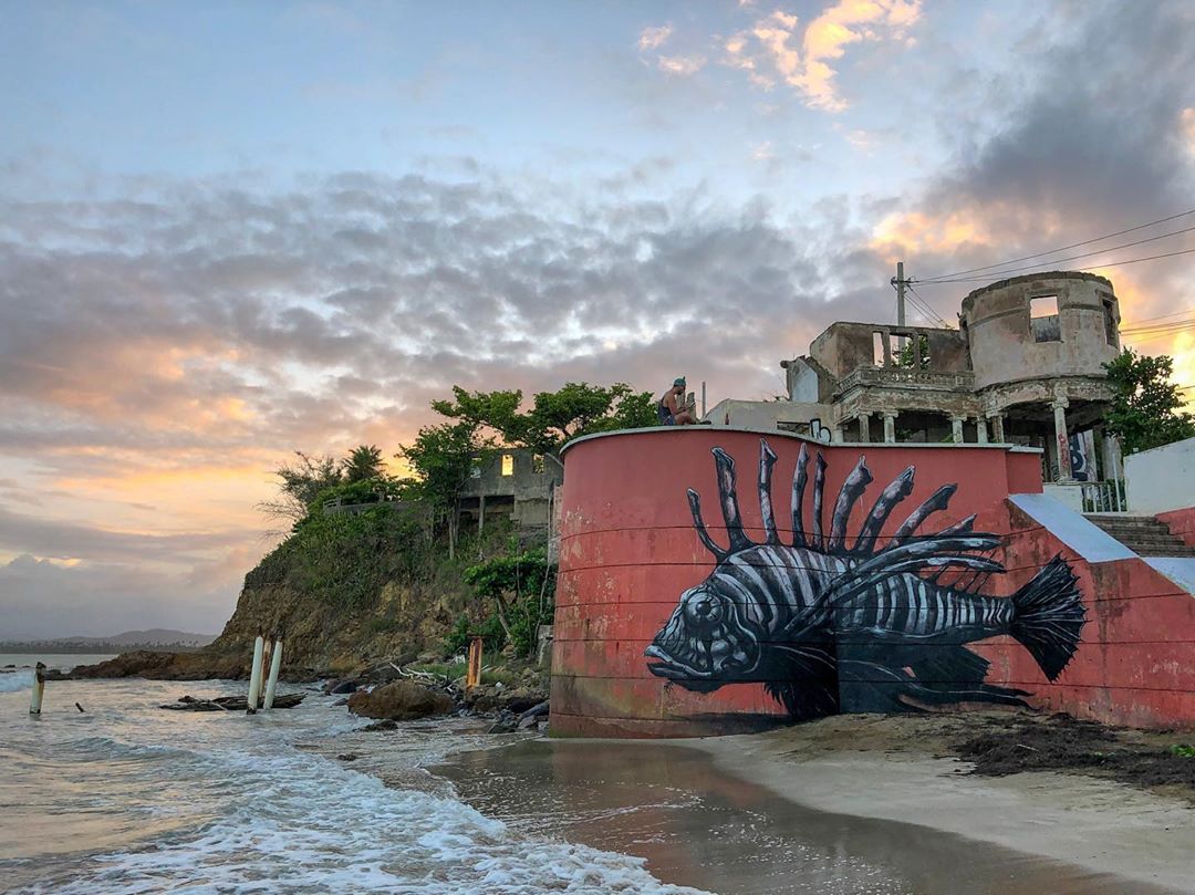 ROA Lionfish By2e11ch At