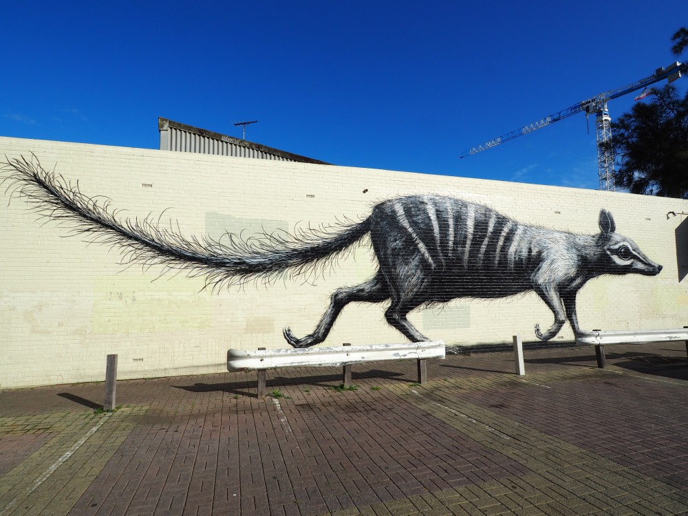 ROA Numbat primarythinking