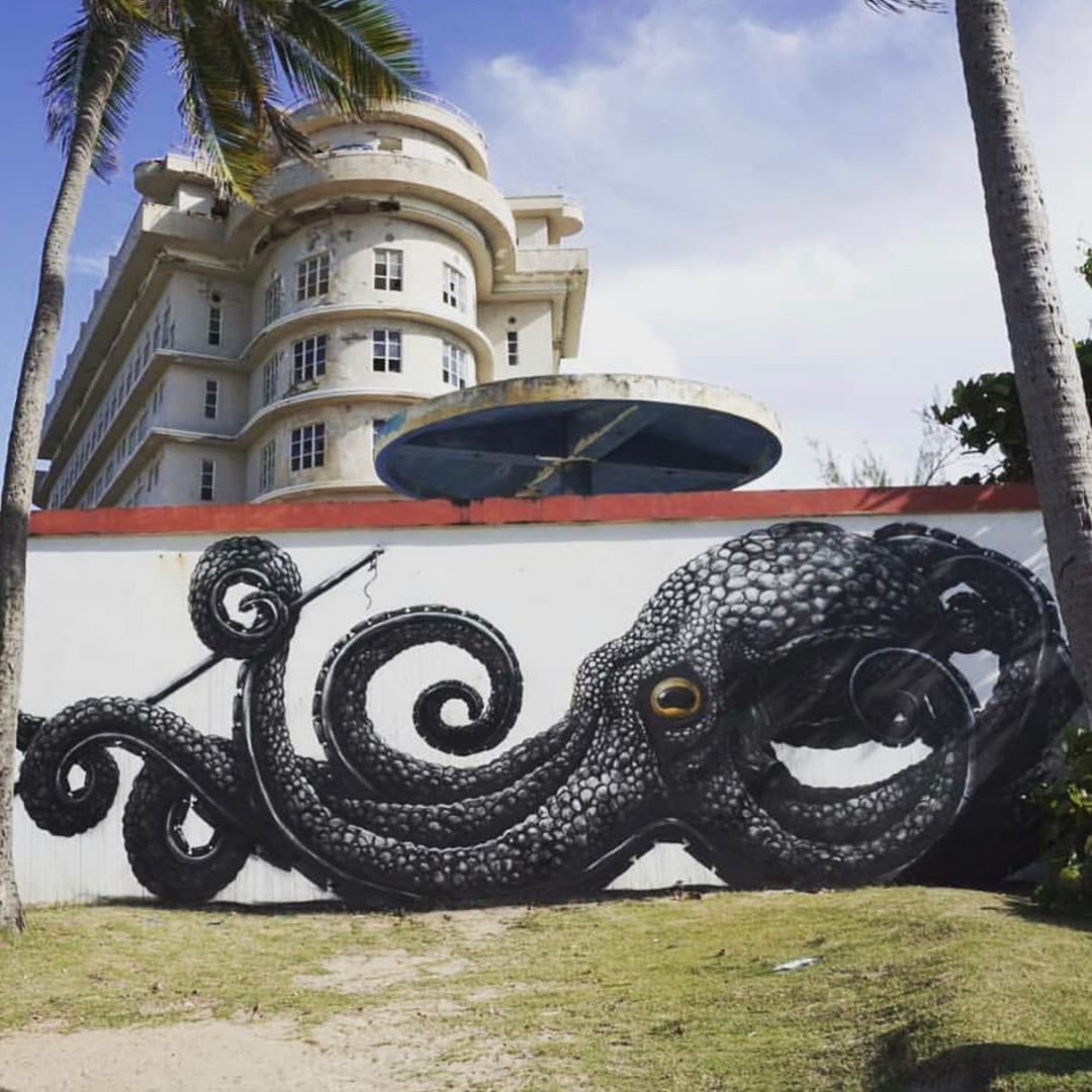 ROA Octopus B02vqdQF3cD