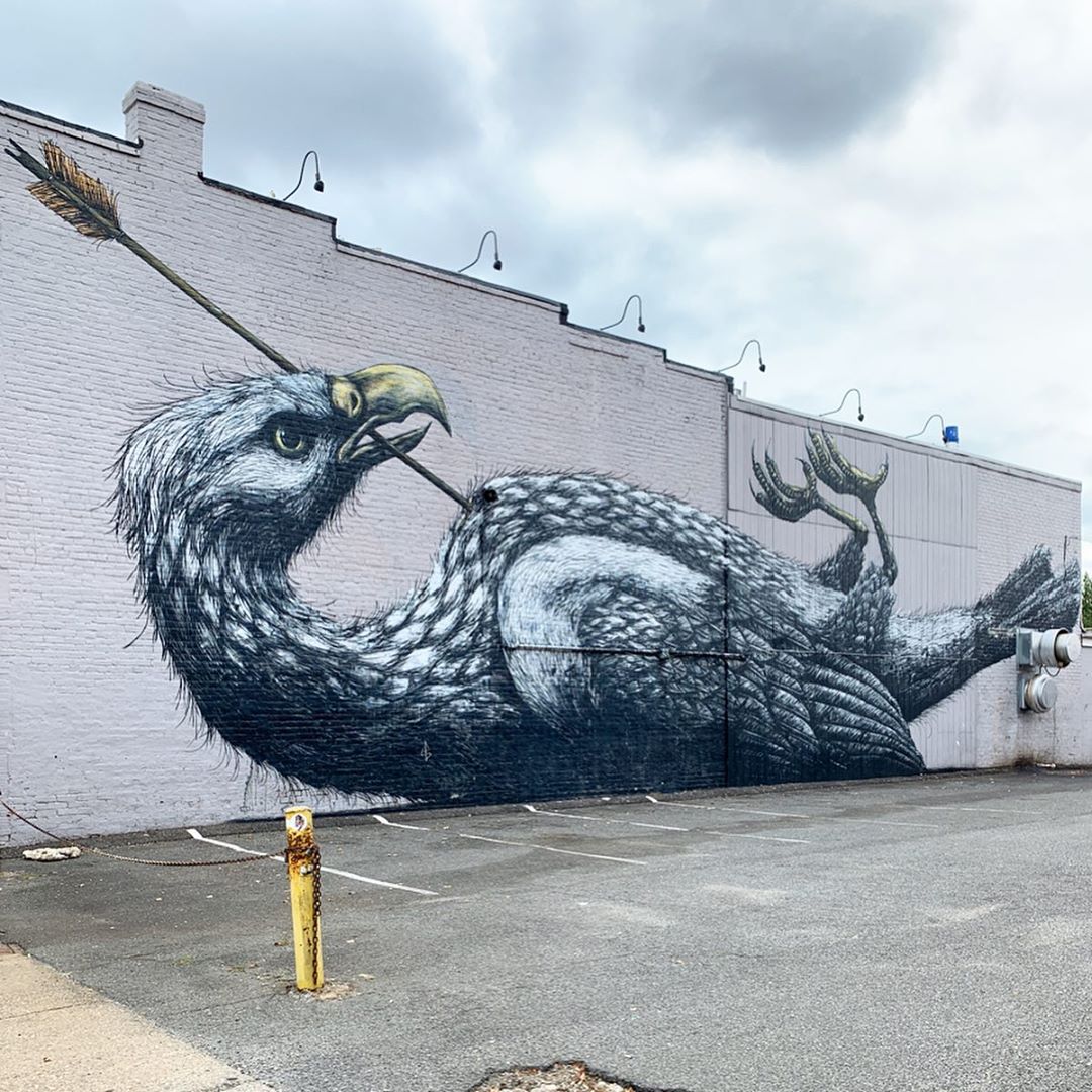 ROA Pierced Eagle B3QXc2ZINYy