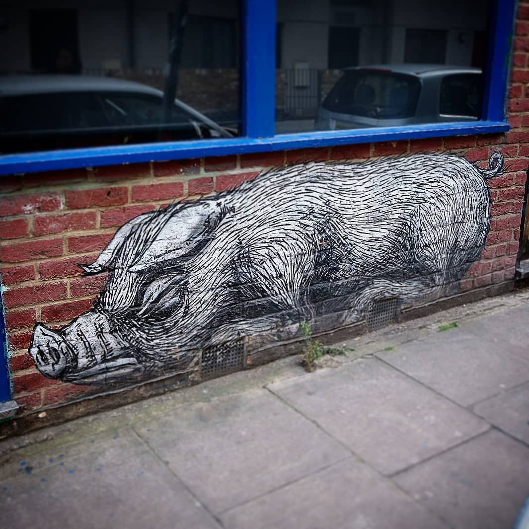 ROA Pig