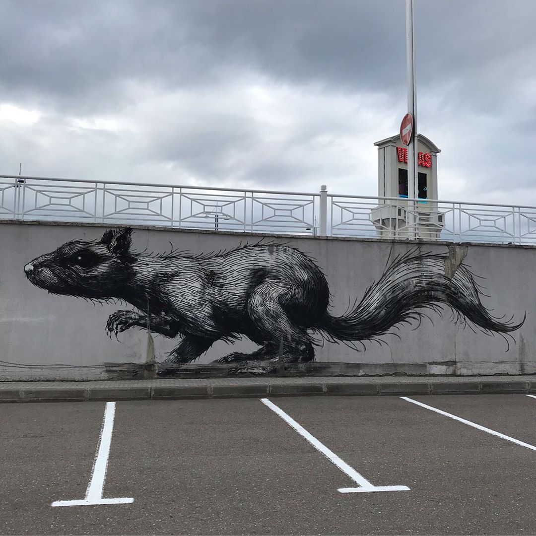 ROA Squerel