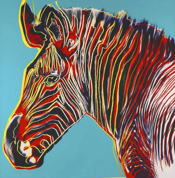 Andy Warhol GREVYs ZEBRA from Endangered Species Portfolio 1983 edwardkurstak