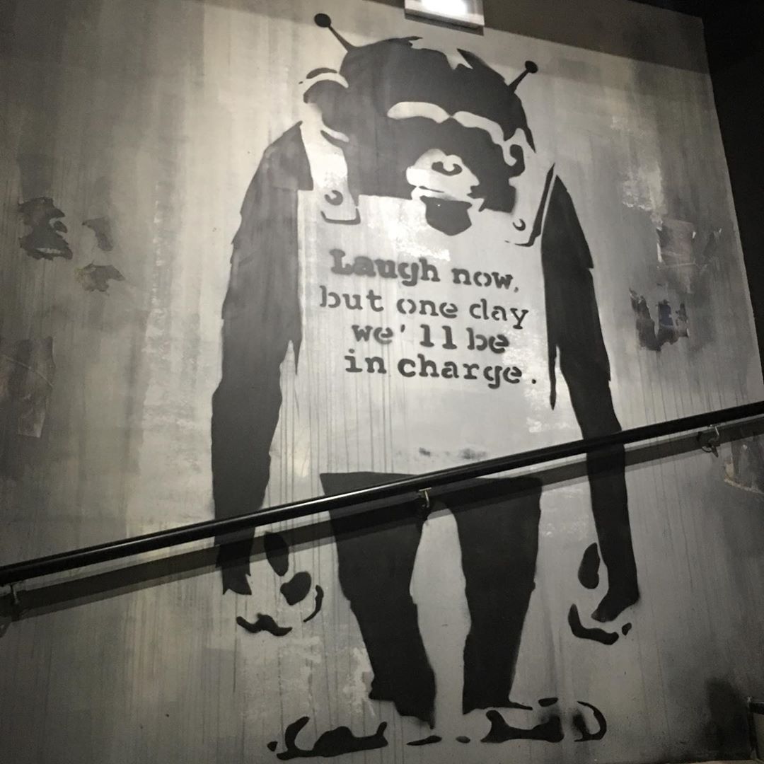 bansky chimps