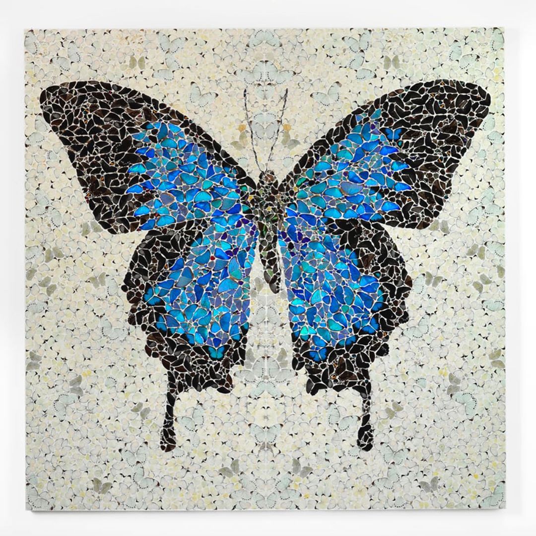 damien hirst 2008 ‘Papilio Ulysses B0gNnROHKw