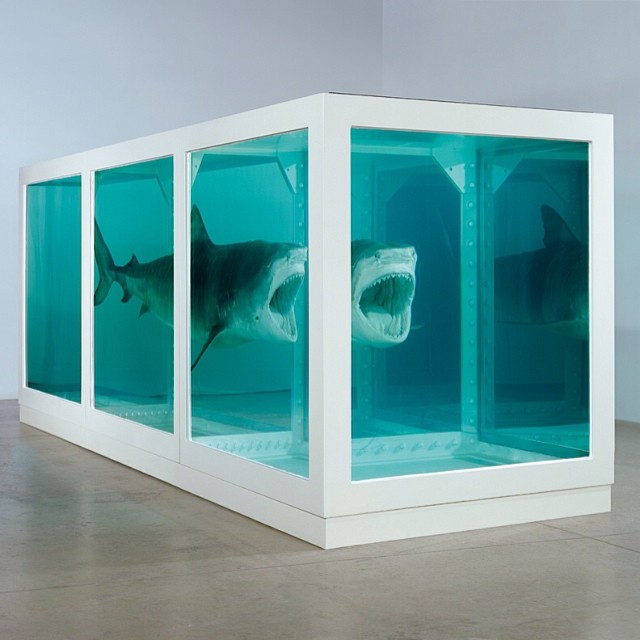 damien hirst The Physical Impossibility of Death in the Mind of Someone Living 1991 oS6aN Ce 5