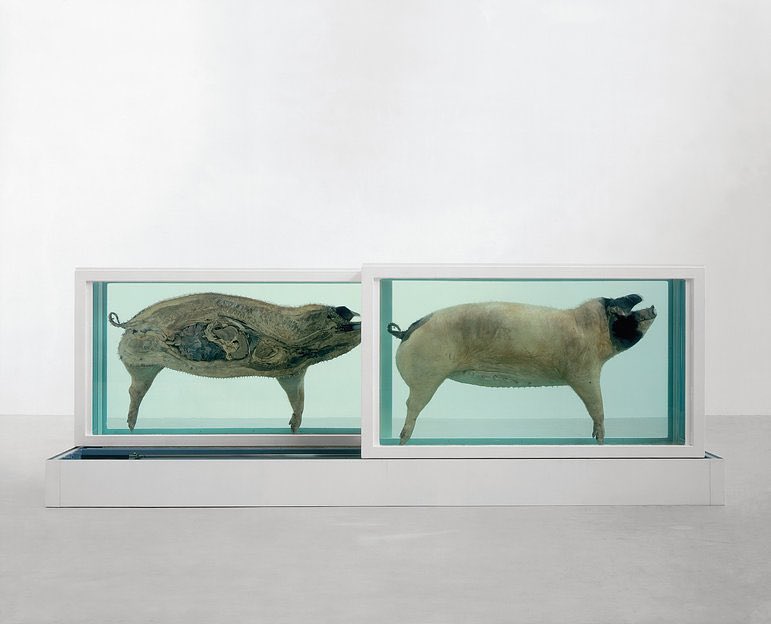 damien hirst This Little Piggy Went to Market This Little Piggy Stayed at Home 1996 BO7lUtYBGcV