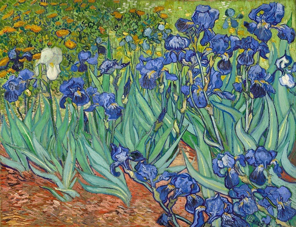 van gogh iris 1889 aschukei