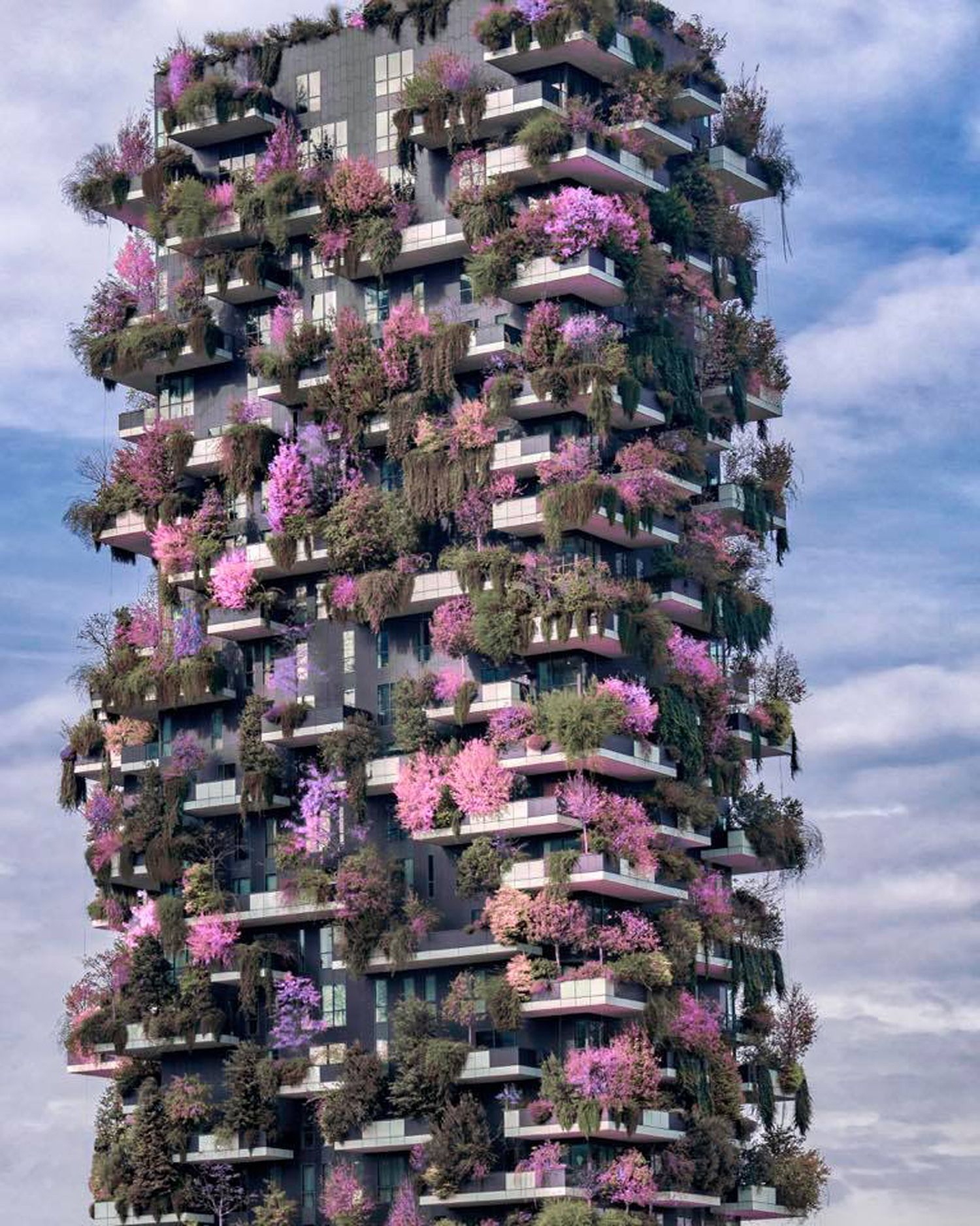 bosco verticale 1