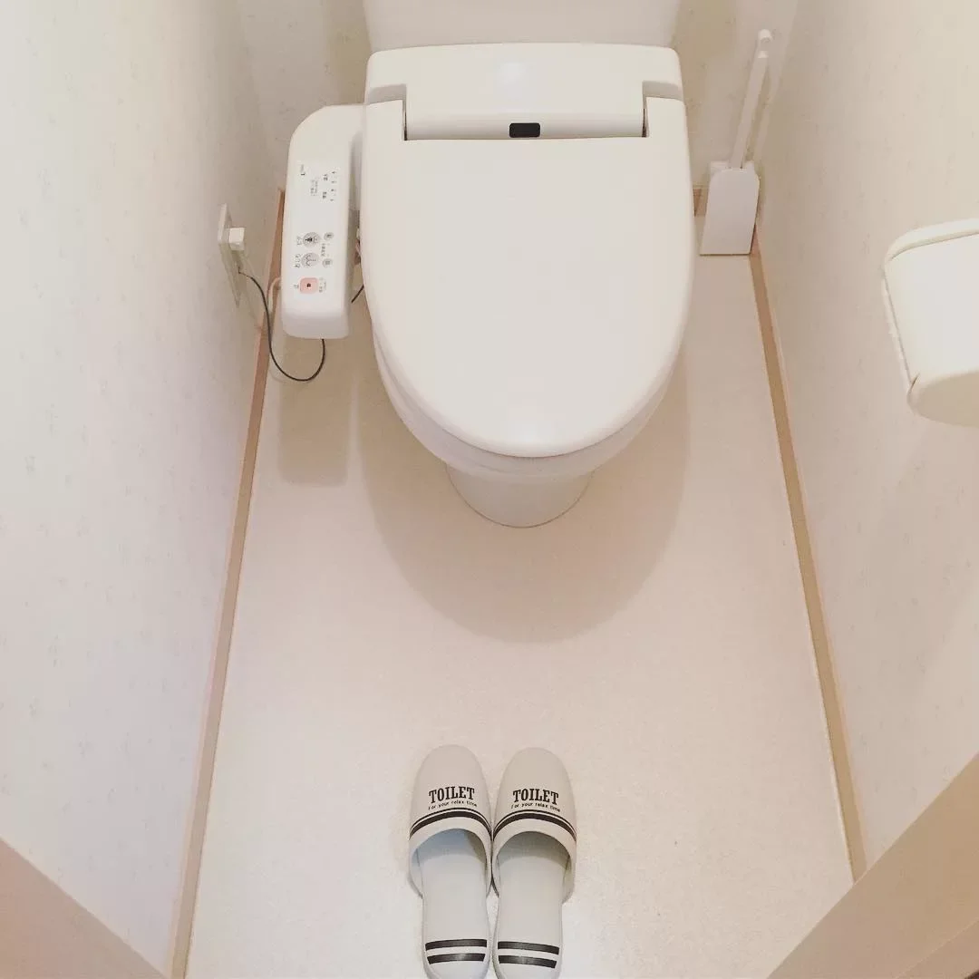 toilet