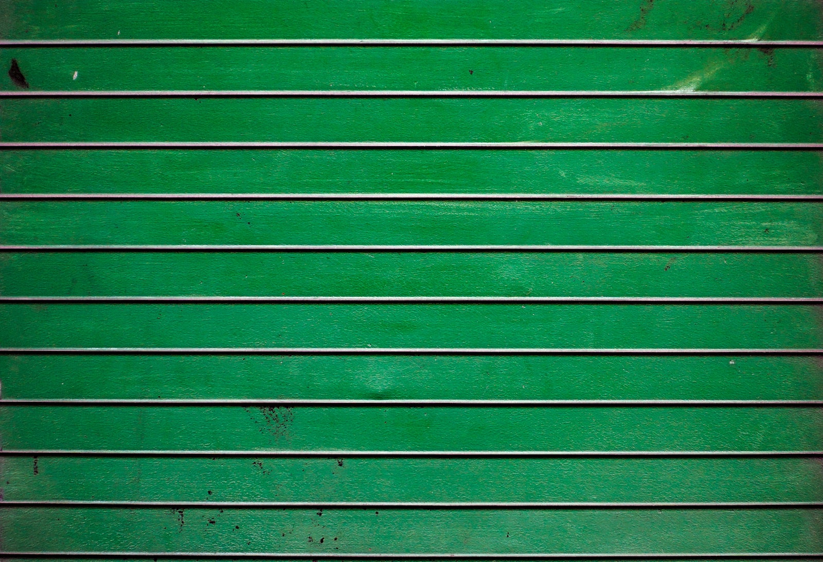 green wooden wall during daytime
